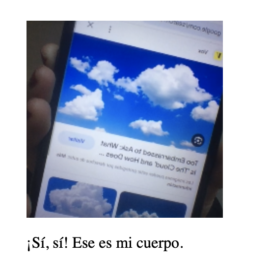 Captura de pantalla de la aplicación